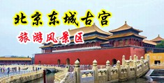 巨人黑人videos极品另类中国北京-东城古宫旅游风景区